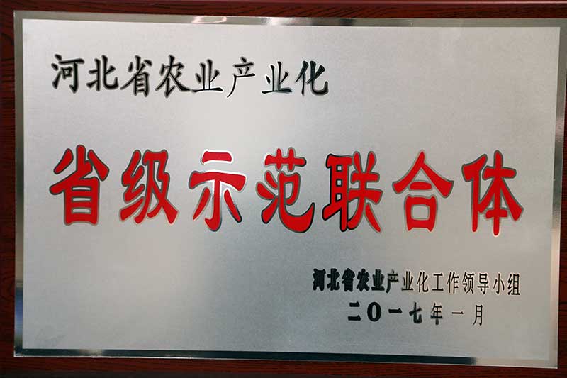 省級(jí)示範聯(lián)合體