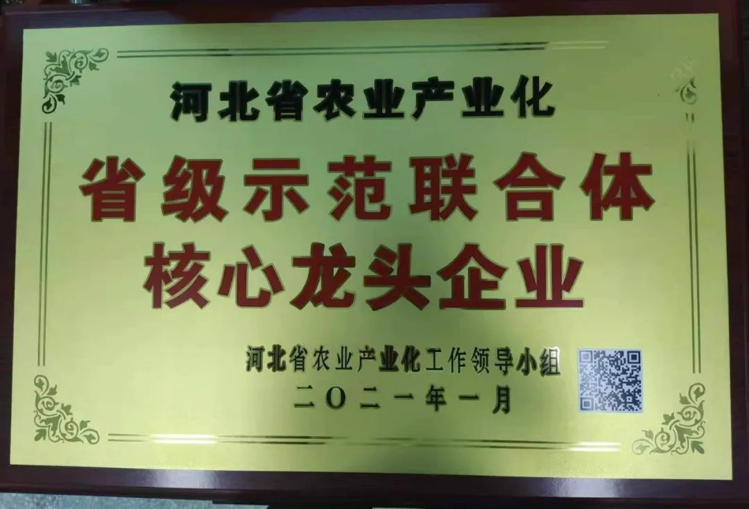 省級(jí)示範聯(lián)合體核心龍頭企業(yè)